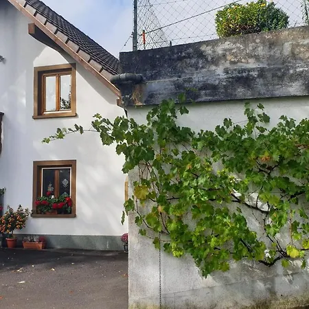 Ferienwohnung auf dem Bückle Kleines Wiesental Exterior foto
