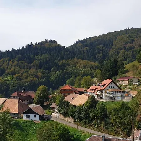 Ferienwohnung Auf Dem Bueckle Kleines Wiesental Buitenkant foto