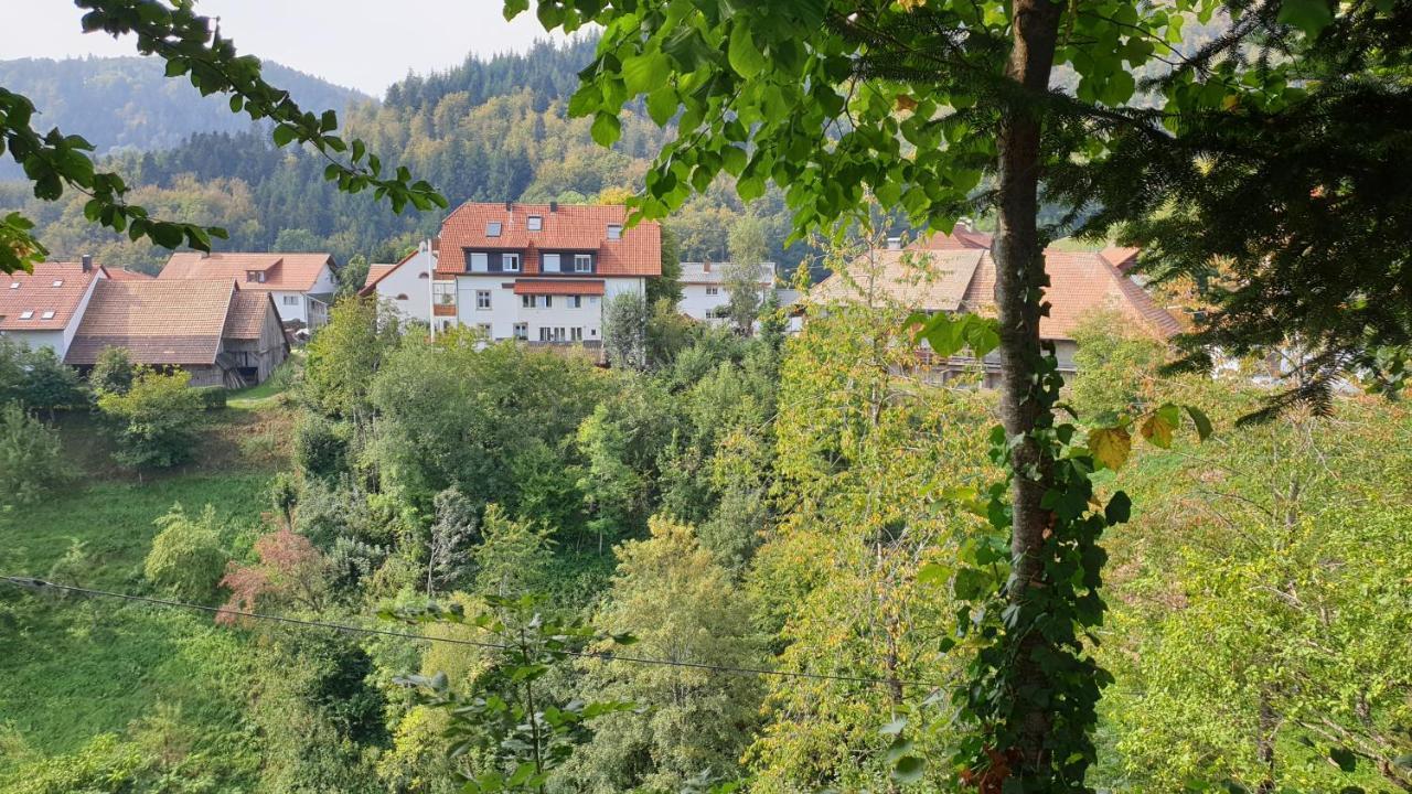 Auf Dem Bückle Apartment