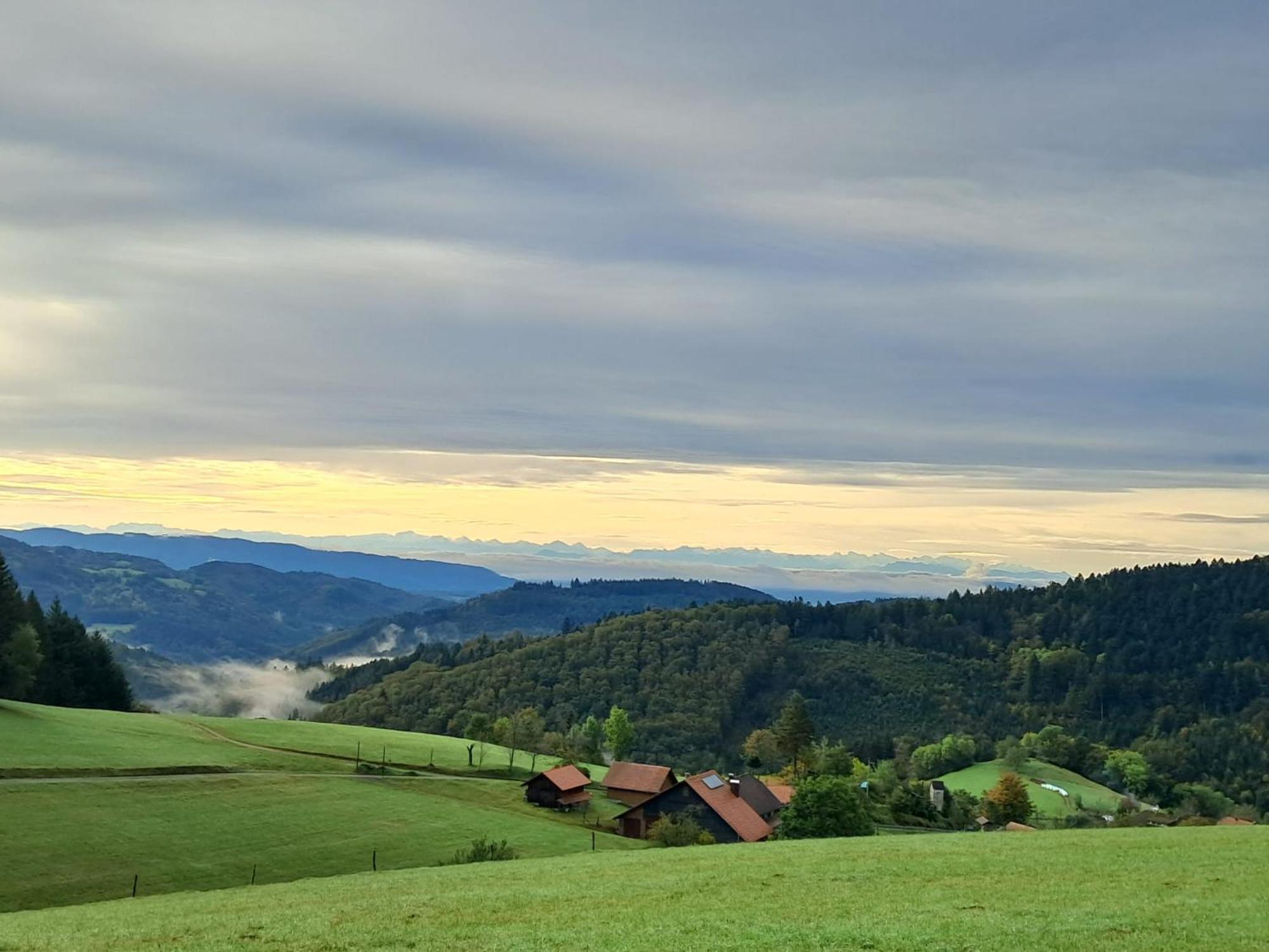 Apartament Auf Dem Bueckle
