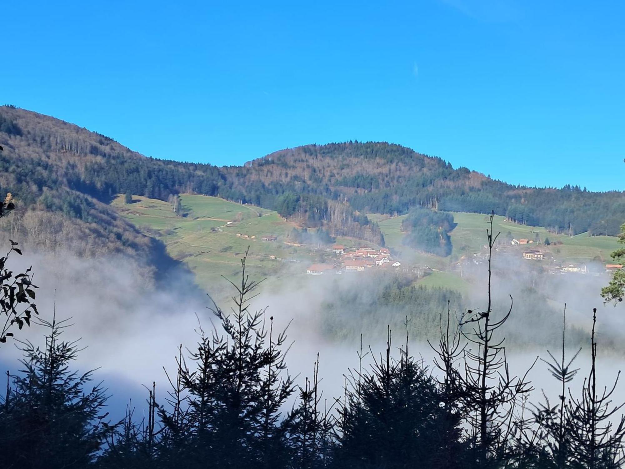 Auf Dem Bueckle Kleines Wiesental